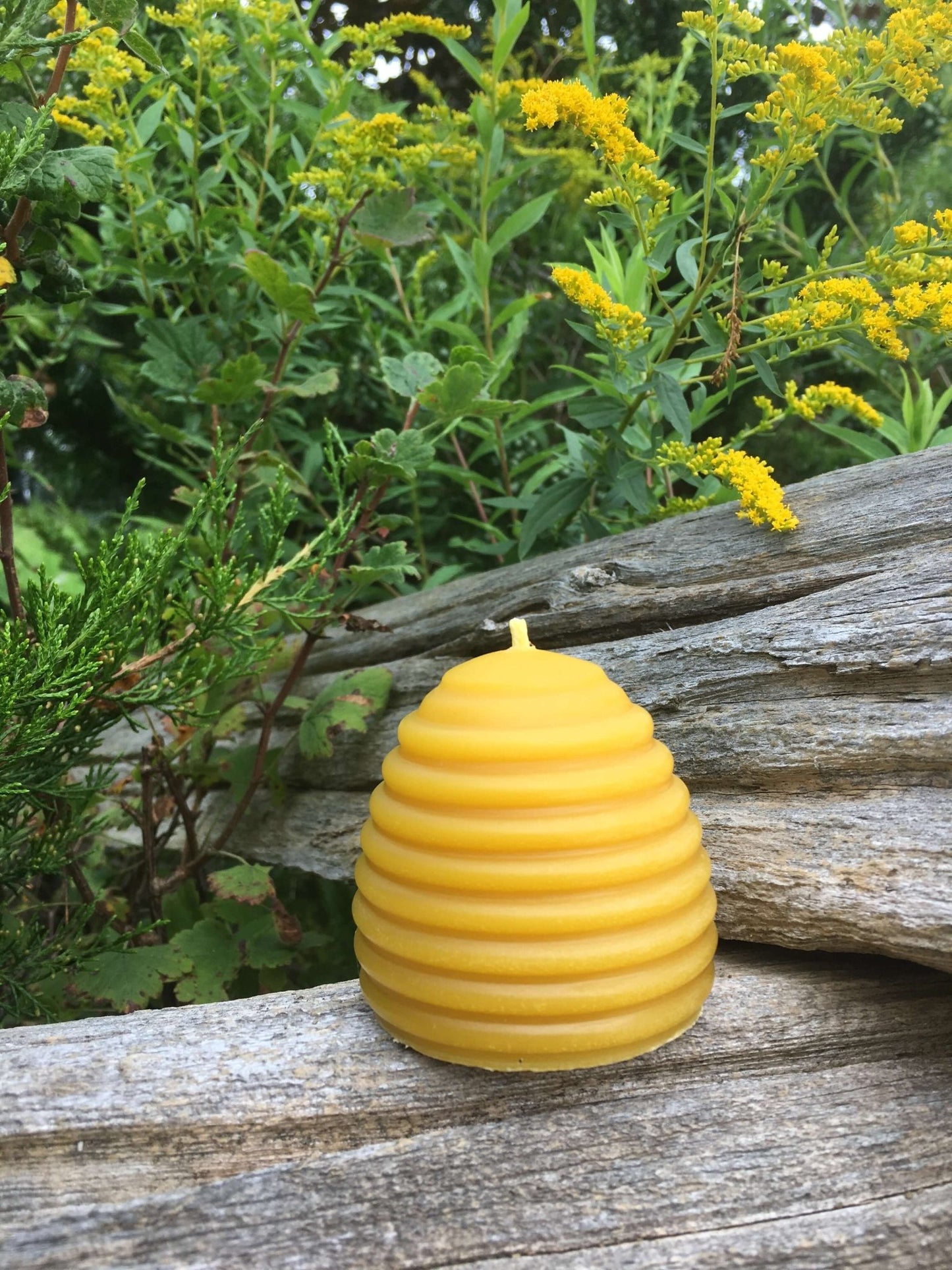 Tealights, Votives & Honey Hives - Lucky Clover Candles